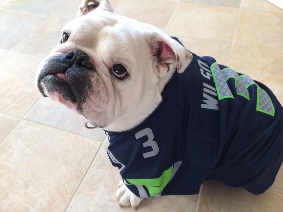 seahawks jersey for dogs